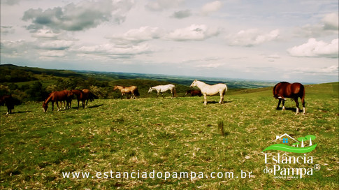 INICIO INICIO.00_04_16_09.Quadro048_4d4ec2e32884efd8475d84f8948a1724afe742ad.jpg